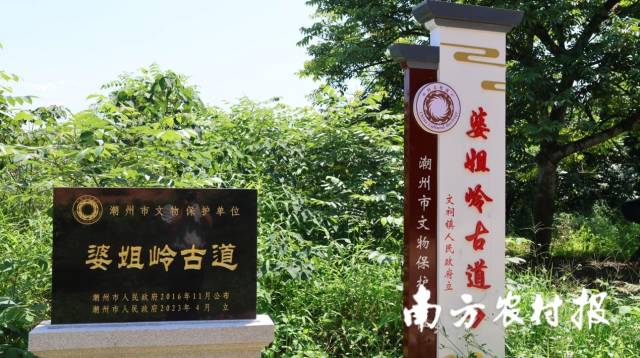 南方农村报 陈静 拍摄