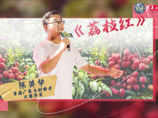 《荔枝红》首发：专属于岭南乡村的动人之歌