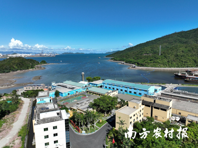 位于惠州大亚湾的广东省农业技术推广中心海洋渔业试验基地