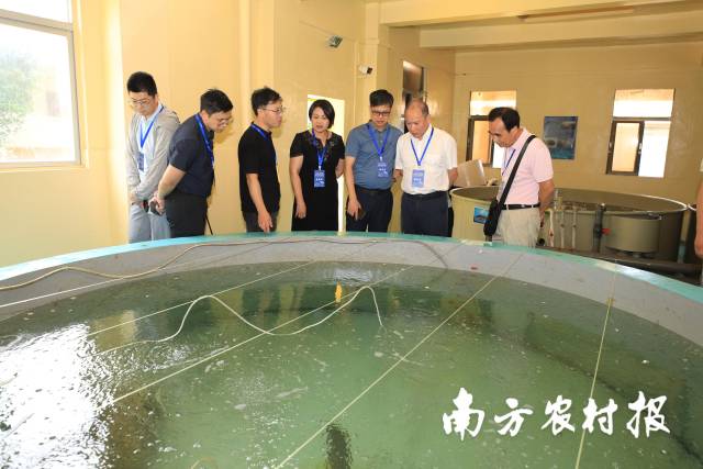 与会专家嘉宾参观省农业技术推广中心海洋渔业试验基地。