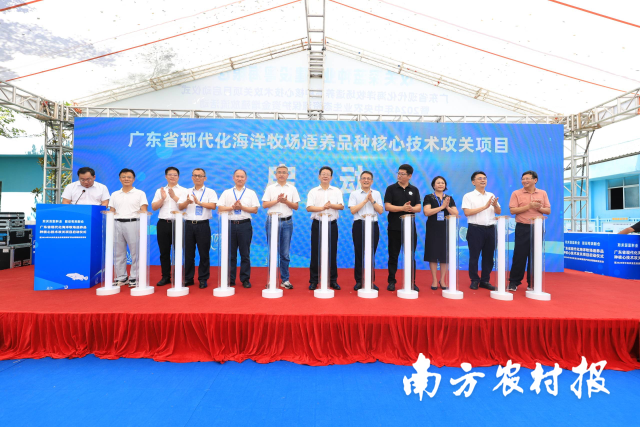 广东省现代化海洋牧场适养品种核心技术攻关项目正式启动。