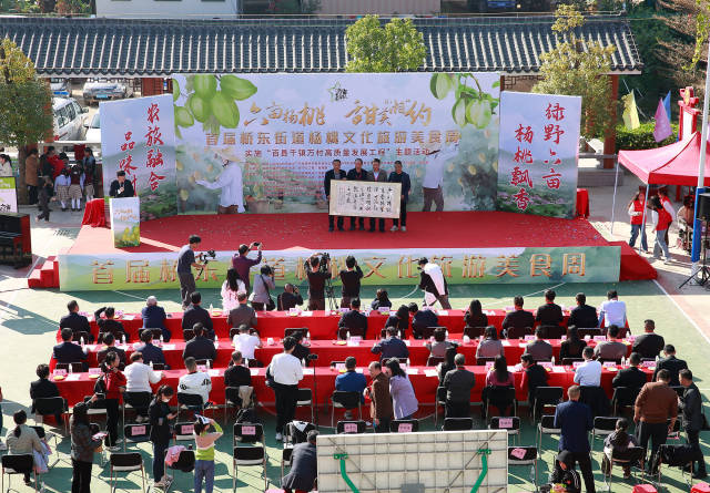 首届桥东街道杨桃文化旅游美食周活动现场。