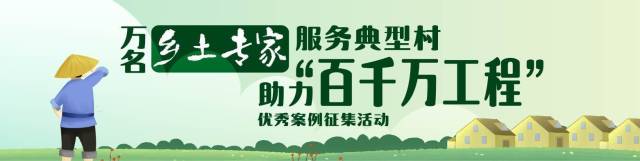 30年攻关破解金钱龟批量人工繁殖难题