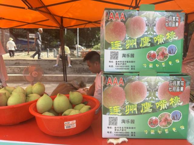 现场展销的连州鹰嘴桃。 现场展销的连州鹰嘴桃。