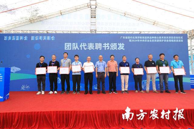 活动现场为攻关项目团队代表颁发聘书。