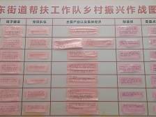 驻湘桥桥东街道工作队：凝心聚力“挂图作战”，做实做好帮扶事业|驻镇这三年㉓