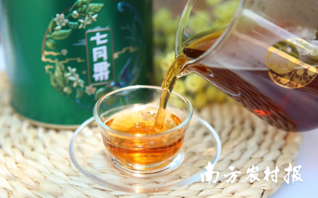 “七月果”新会柑茶柑香茶醇，深受各地茶客喜爱。