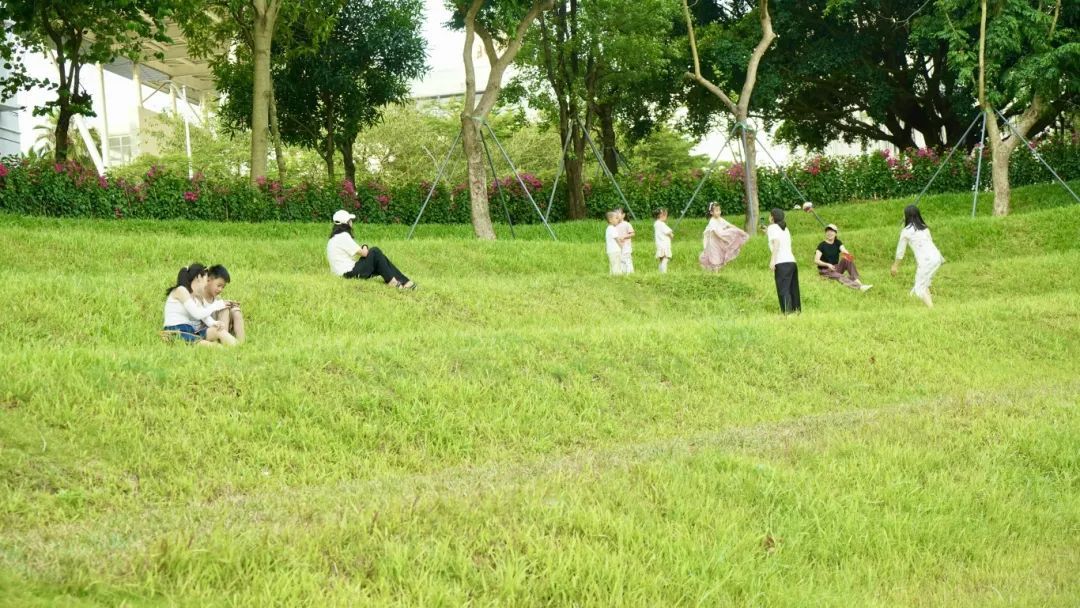 “打工人天选草坪”火了!南山这处“躺坪”好Chill~