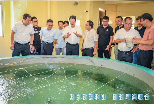 南方农村报 李嘉镓 制图