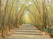 向秀的“转向”及其内情