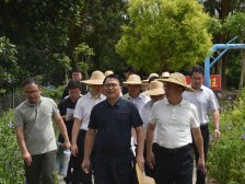 梁荣杰率队到电城镇架炮村调研督导“百千万工程”典型村培育提升工作