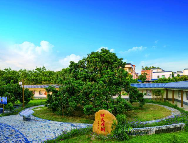 滁州4位全国劳动模范和先进工作者在京接受表彰_