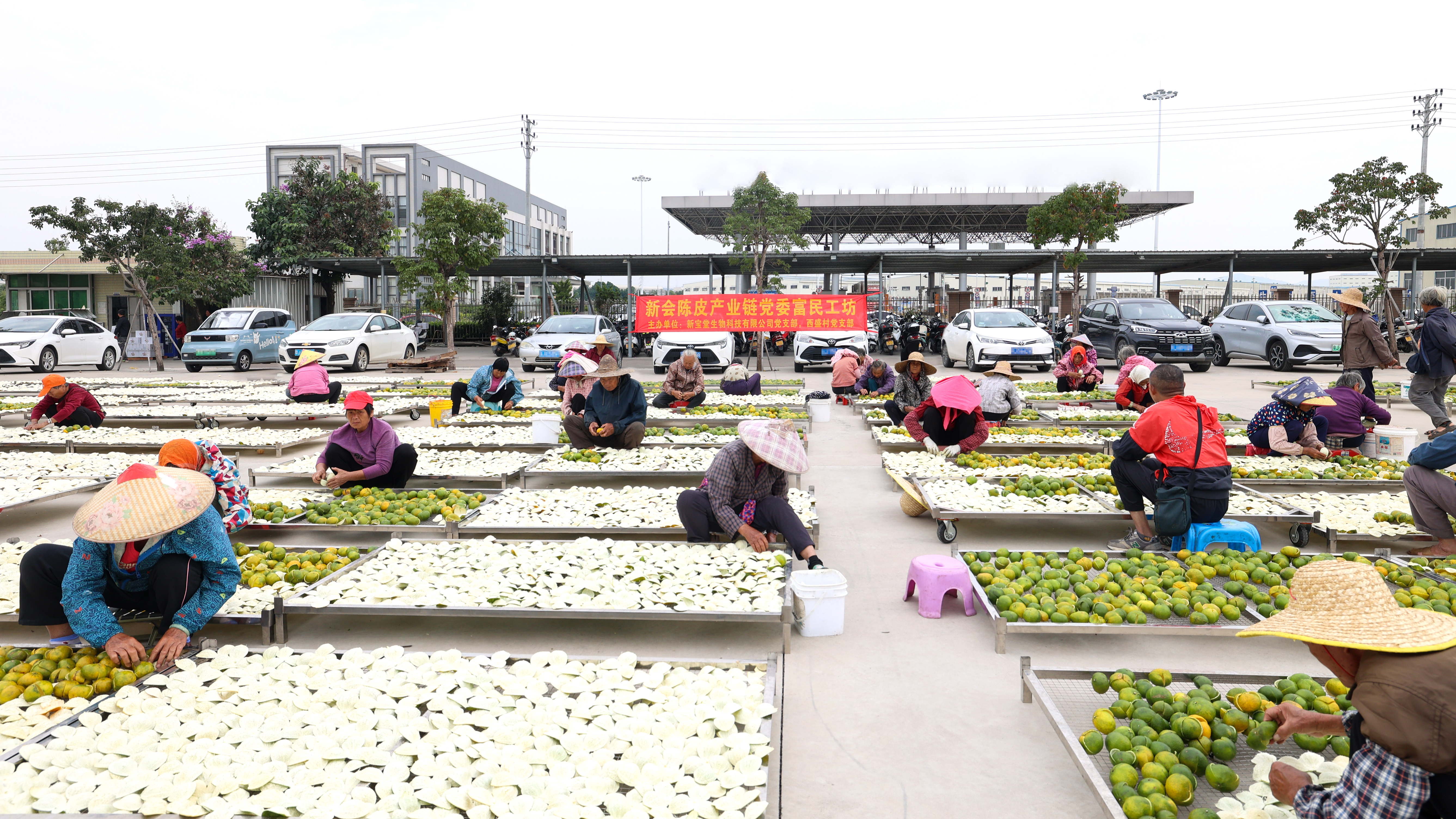 新会陈皮产业链党委富民工坊。新会区委组织部供图