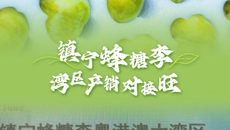 百家客商齐聚！6月27日上午，2024贵州镇宁蜂糖李产销对接会在广州江南果菜批发市场成功举行