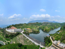 凯达茶业：希望能让更多人知道大埔的好茶丨广东农企品牌价值50强评选巡礼