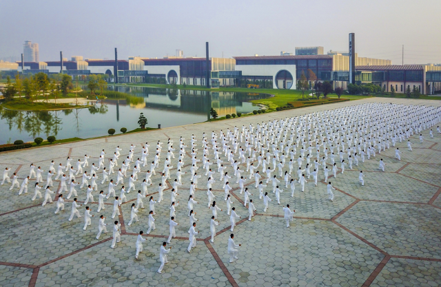 山东聊城东阿县阿胶世界广场。