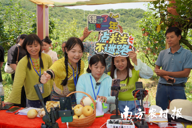 2024年，百名主播直播卖连州水晶梨。