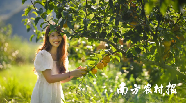 玉树亭亭覆碧阶。