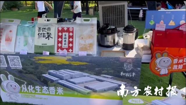 近年，从化区建成生态优质丝苗米产业园，积极打造从化生态香米品牌。现场，从化香米展位吸引不少嘉宾驻足咨询。