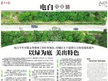 以绿为底 美出特色 | 一文速览《南方日报·电白视窗》178期