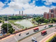 南方访谈｜里水镇党委书记邓秀娟：把“一轴一带六片区”嵌入北向战略版图