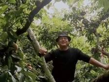 卖好“土特产”，他又吃上了“文旅饭”｜新农人 兴农记⑦