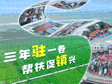 广东万名干部组团帮扶，三年“驻”就“镇”兴答卷