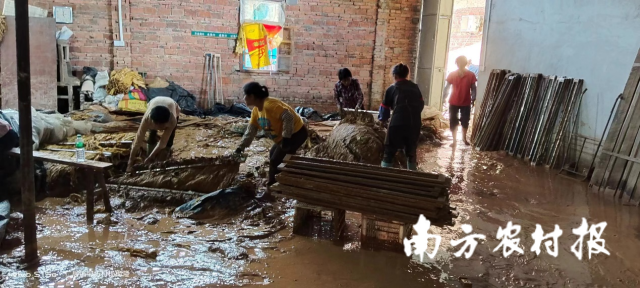 马均明储存烟叶的库房进水后，三成烟叶损毁