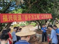 兴宁市福兴街道：吹响“你追我赶”集结号，推动“百千万工程”加力提速