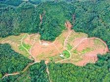 让愿景图变实景图，三年来8支帮扶工作队为蕉岭做了什么