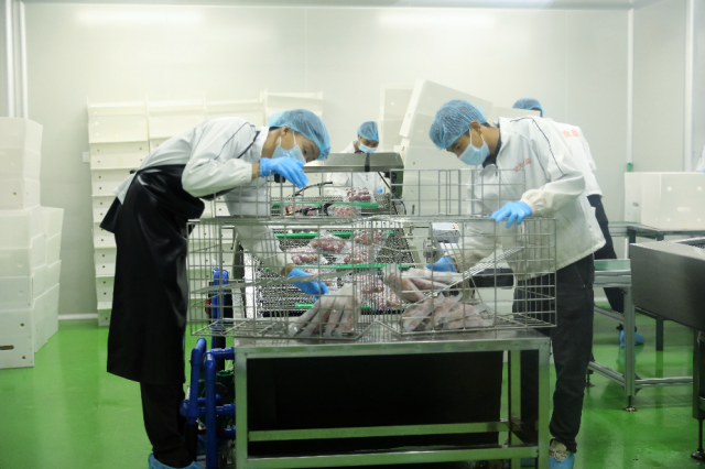 冻眠荔枝生产车间正在进行荔枝真空包装。