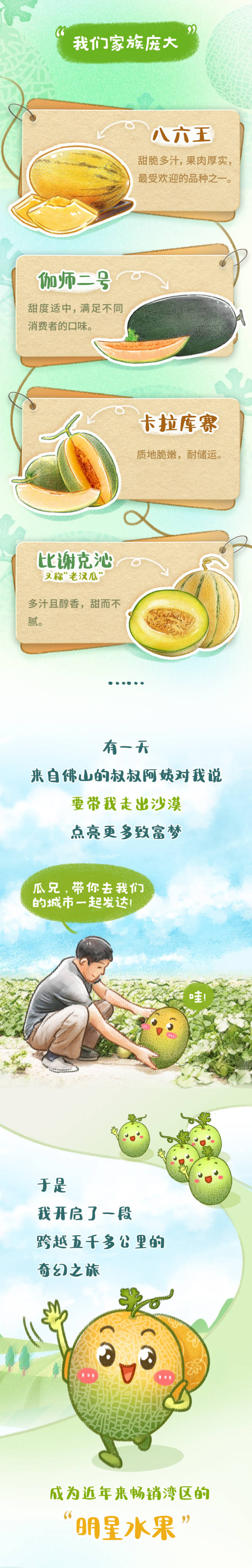 山粉是什么粉