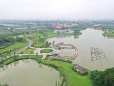 佛山跨区域组CP！“反向飞地”如何助高质量“起飞”？｜北向战略深调研