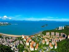 “一书三单”五区覆盖，珠海林长履职提档见效