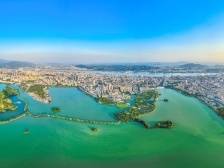 探索“两化融合”，做强镇域经济！肇庆金利镇高质量发展一线报告