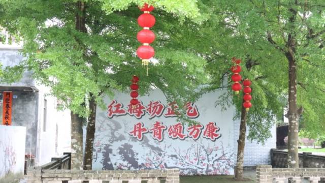 “关梅”正气焕发生机——走读阳江江城那蓬村