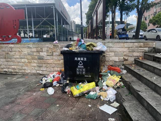 五联镇兴路垃圾四溢，恶臭味明显。