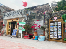 以文化赋能“百千万工程”｜百千万 莞一周