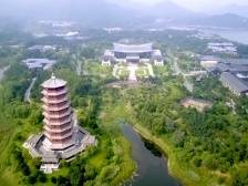 【新思想引领新时代改革开放】筑牢生态文明根基 谱写美丽中国建设新篇章