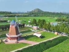 伟大的历史变革丨强农富民美乡村