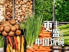逢山开路 遇水架桥｜更丰盛的中国饭碗