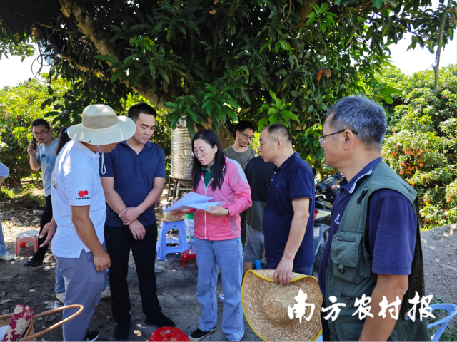 联饶镇党委书记张少辉（左三）和国家荔枝龙眼产业技术体系深圳综合试验站荔枝产业技术专家张树飞（左四）交流。