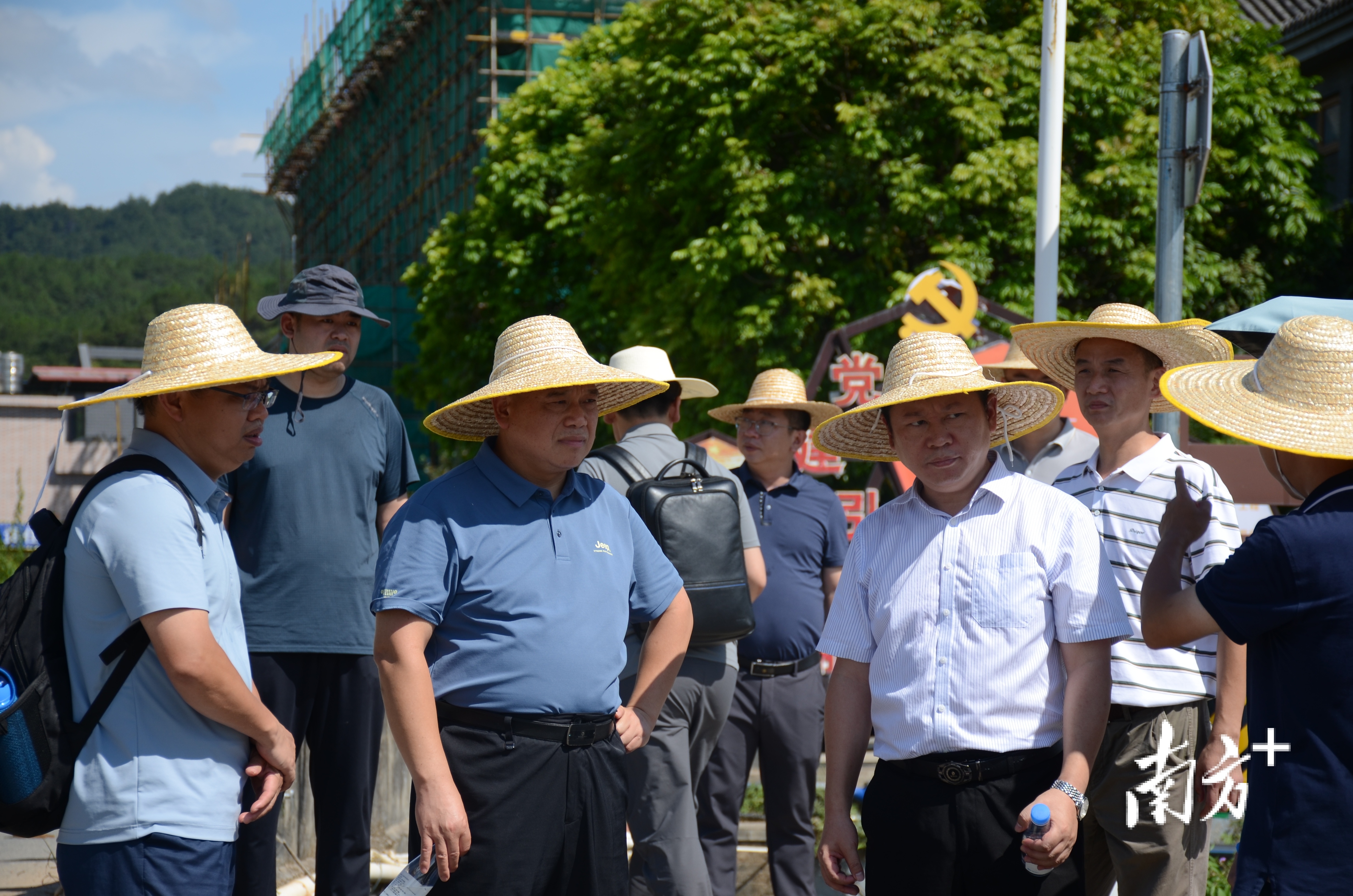 南方农村报 黄旭君 拍摄