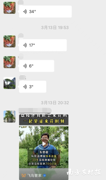 联饶龙眼荔枝产业交流群中，产业人士活跃讨论。