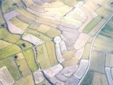 深化改革，走中国特色现代化农业道路（经济新方位）