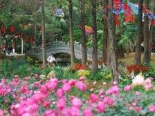 图卢兹：飞翔的“玫瑰之城”