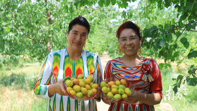 南方农村报 李嘉镓 制图