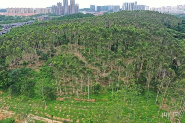 南方农村报 李嘉镓 制图