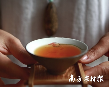 “世界高香红茶”——英德红茶。 “世界高香红茶”——英德红茶。<strong></strong>