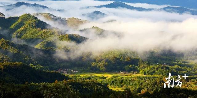 南方农村报 李嘉镓 制图